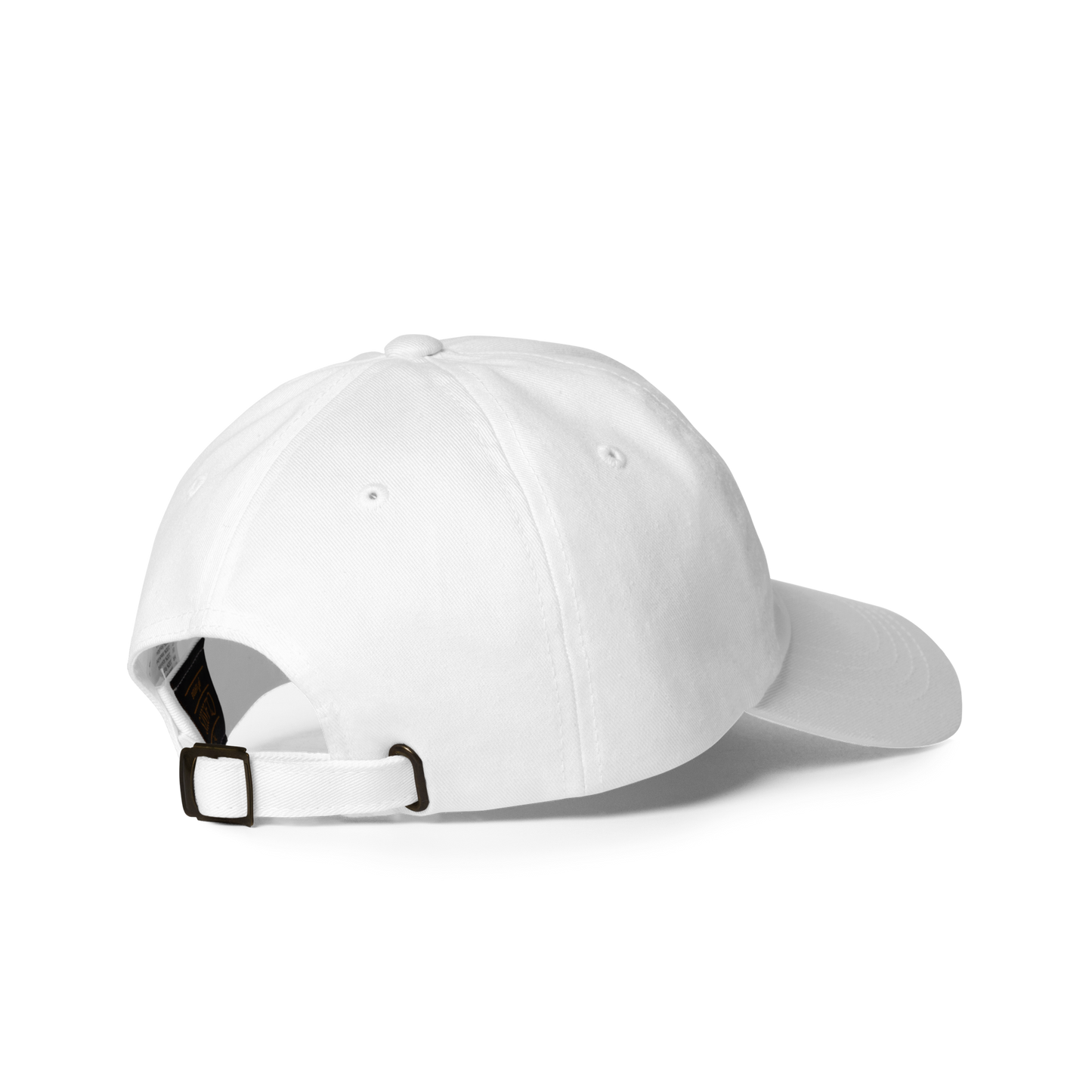 COMMON SENSE Baseball Hat - Twin Blue