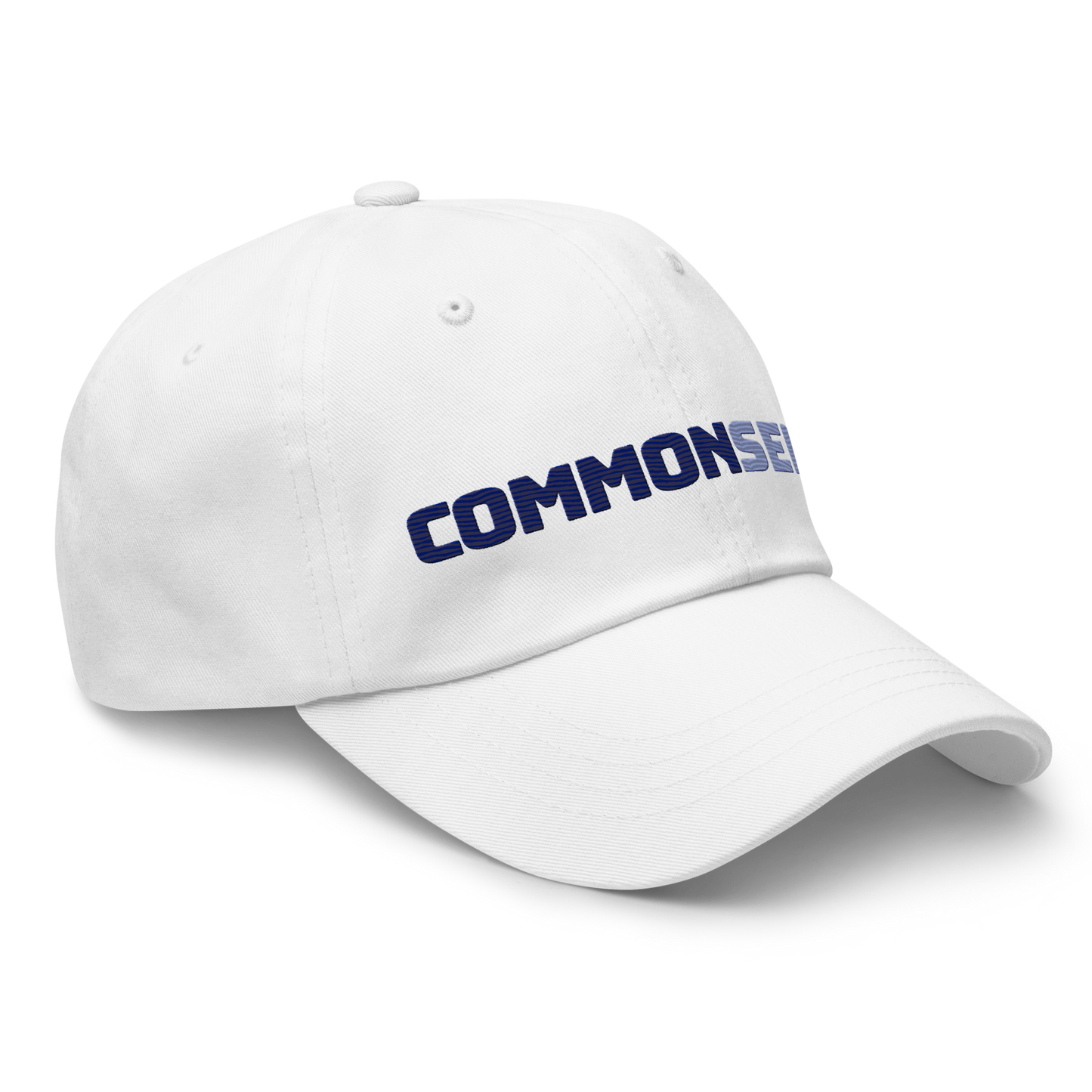COMMON SENSE Baseball Hat - Twin Blue