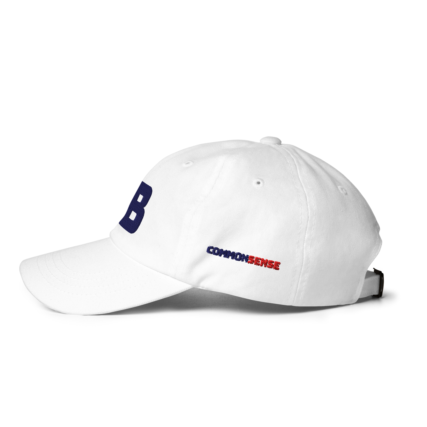 FB COMMON SENSE Baseball Hat - Red + Blue
