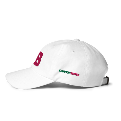 FB COMMON SENSE Baseball Hat - Pink + Green